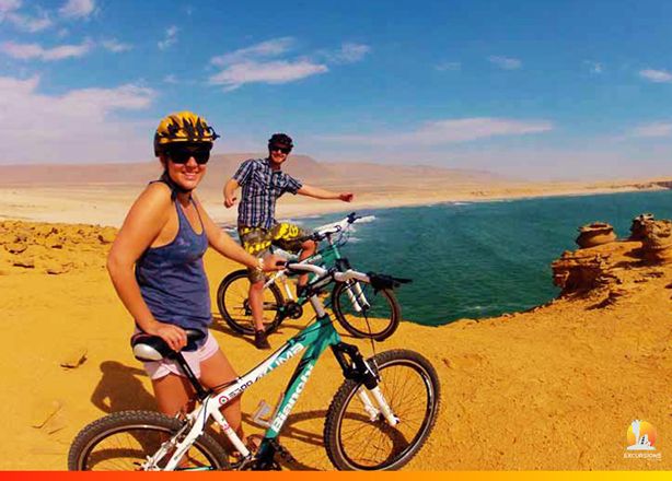 Alquila una bicicleta para visitar la Reserva Nacional de Paracas