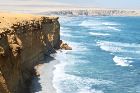 Full day: islas ballestas modern boat and reserva nacional de paracas – in private transport from paracas