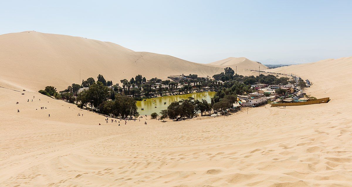Full Day Ballestas Islands + Paracas National Reserve In (Go Kart) + Huacachina (Tubular And Sandboard) From Paracas